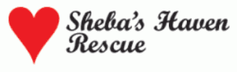 shebas haven rescue