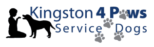 kingston 4 paws
